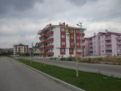 blog image