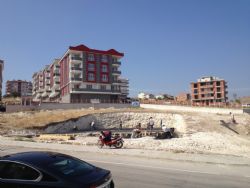 blog image